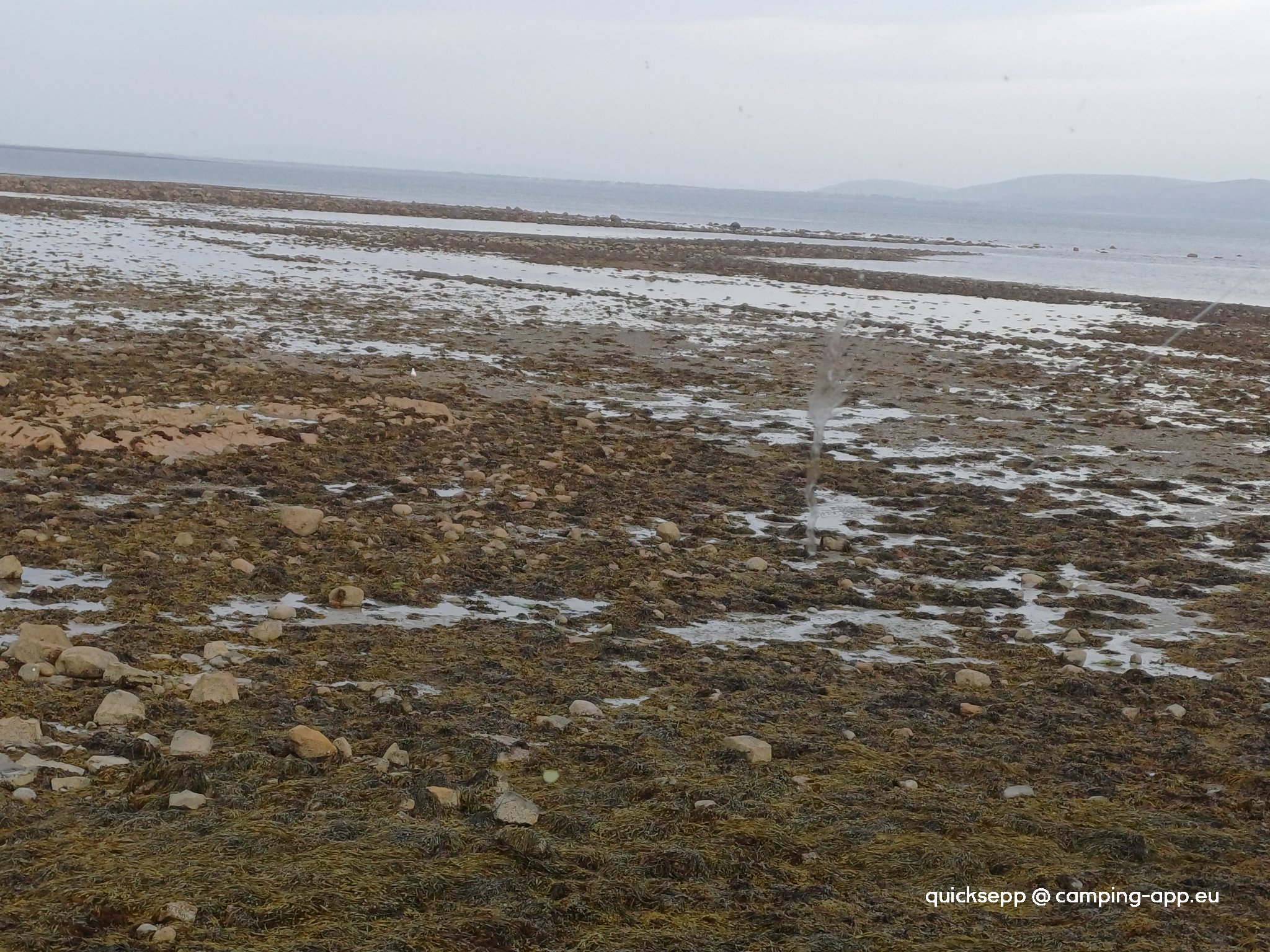 Salthill Caravan Park — Foto 3