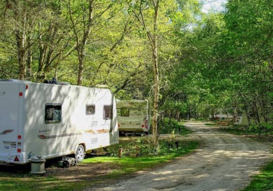 Setthorns Campsite — Campingplats in New Milton