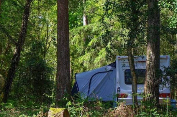 Setthorns Campsite — Photo 3