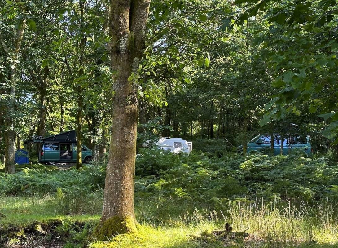 Beddgelert Campsite — Camping in Beddgelert