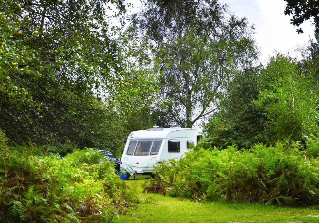 Ocknell Campsite, New Forest — Cámping in Fritham