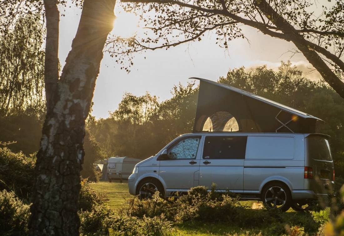 Ocknell Campsite, New Forest — Місце для кемпінгу in Fritham