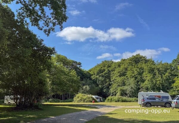 Longbeech Campsite, New Forest