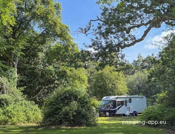 Longbeech Campsite, New Forest — Фото 2