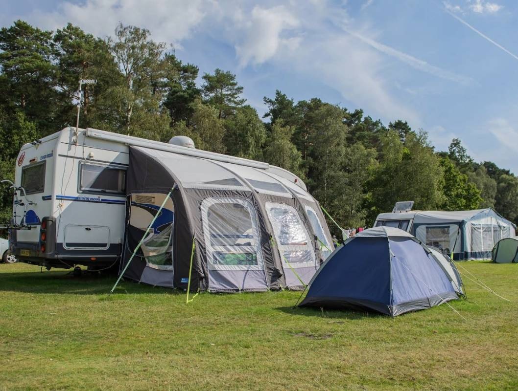 Aldridge Hill Campsite, New Forest — Camping in Brockenhurst