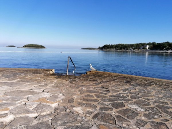 Camping Valkanela — Photo 3