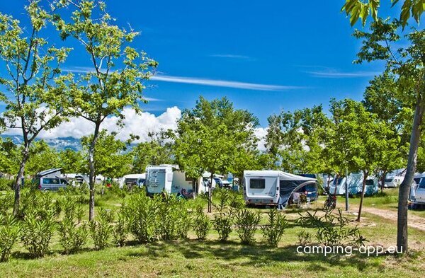 San Marino Camp — Photo 2