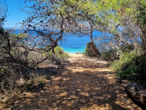 Camp Mindel — Photo 2