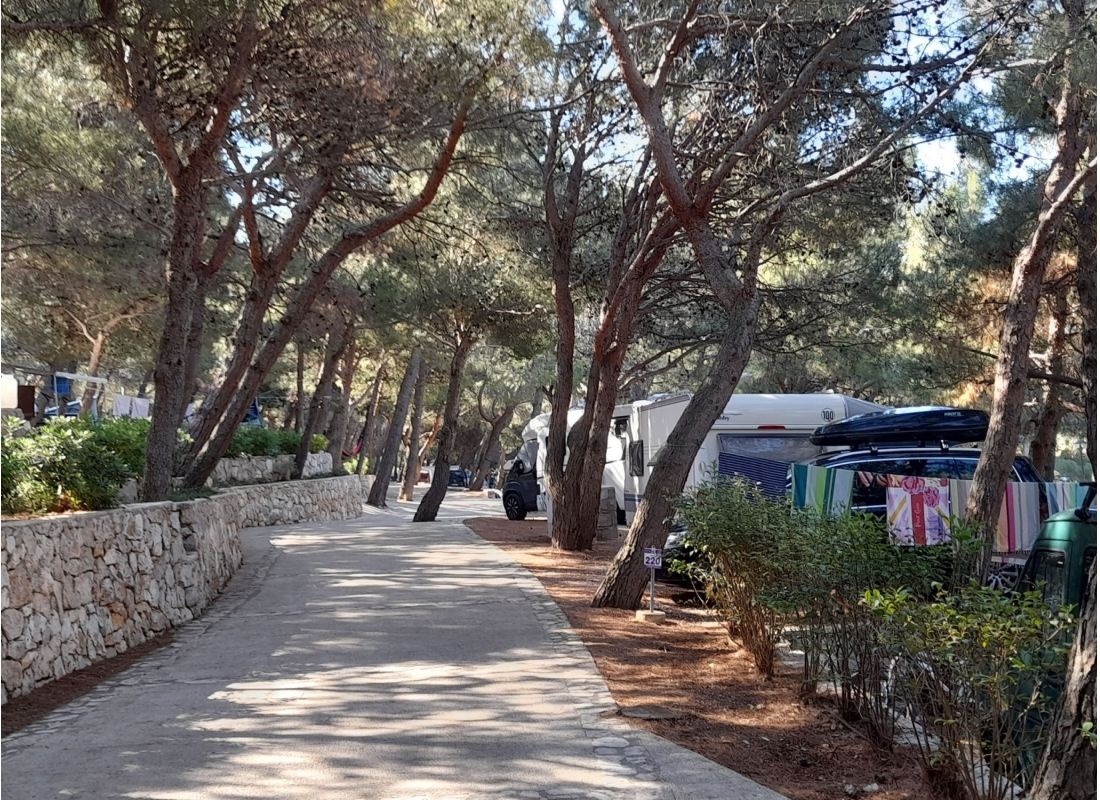 Camp Slatina **** — Area da campeggio in Cres