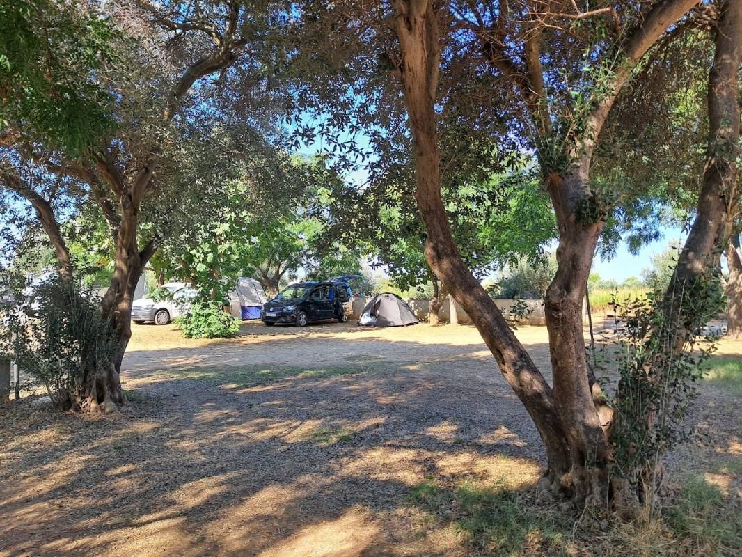 Camping Nina — Campingplass in Privlaka