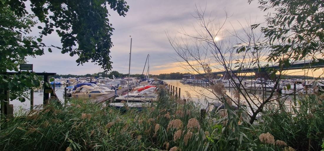 Stellplatz am Yachthafen Ringel Werder — Sp. parking dla kamperów in Werder (Havel)