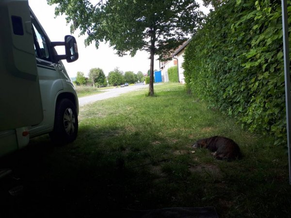 Stellplatz am Freibad — Photo 3