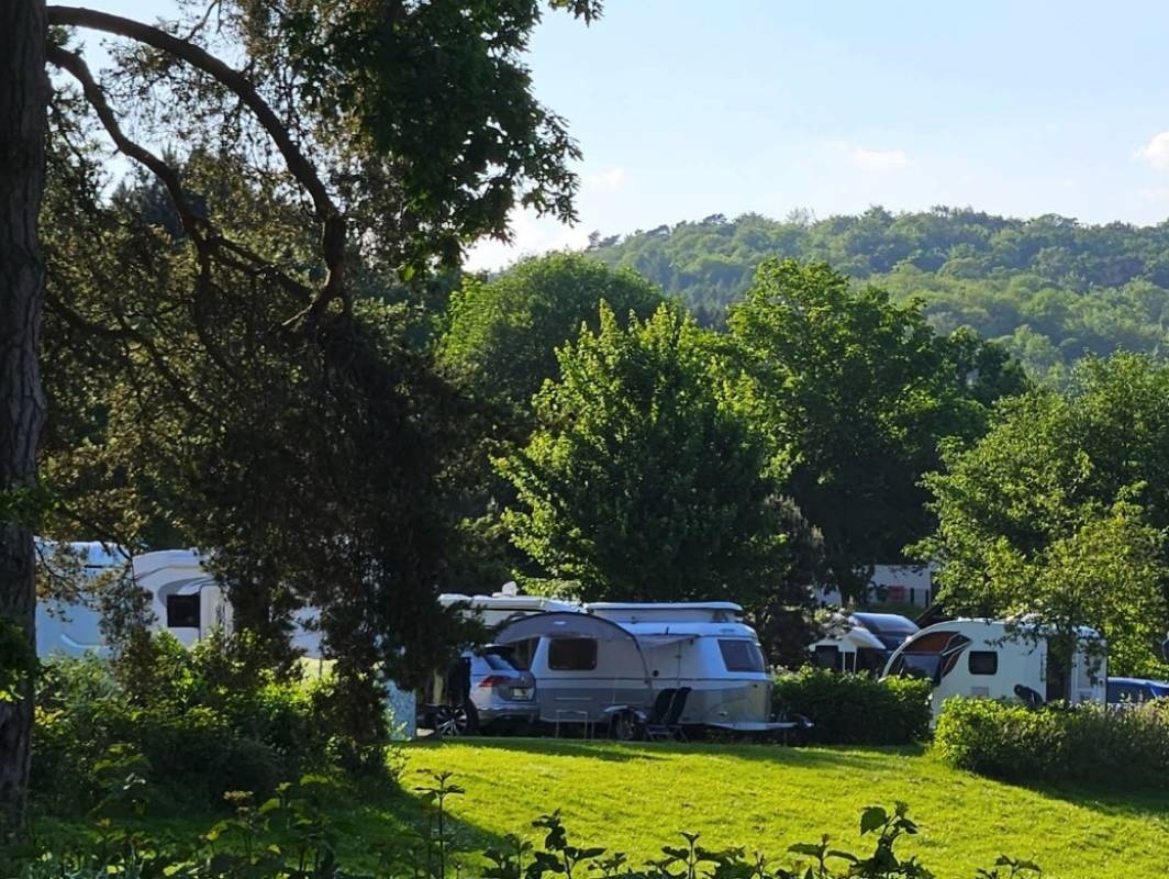 Whitemead Forest Park — 露营地 in Lydney
