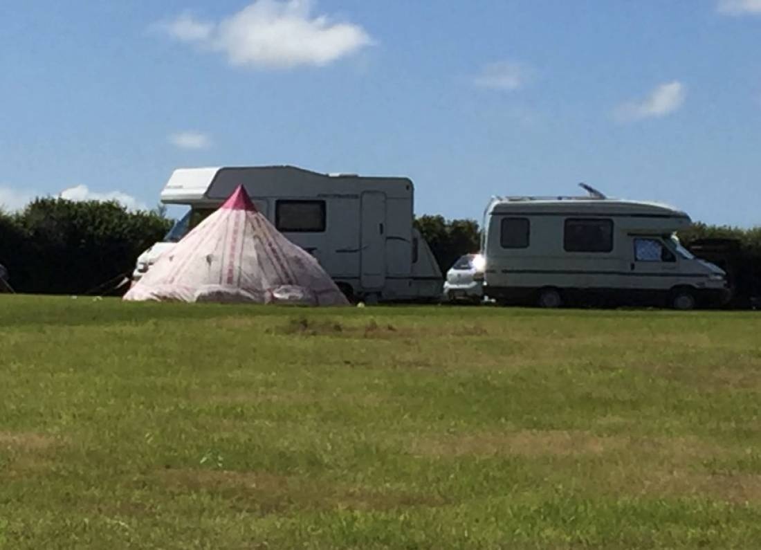 Bales Ash Campsite — Camping in High Bickington