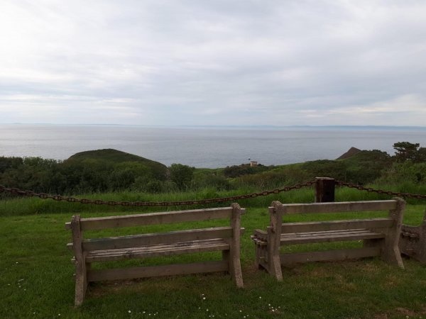 Little Meadow Campsite — Місце для кемпінгу in Ilfracombe