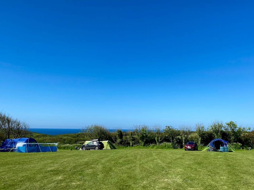 National Trust Teneriffe Farm Campsite — Camping Site in Mullion