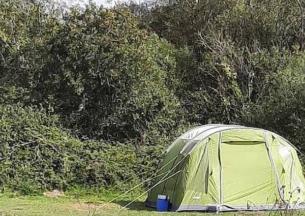 Pleasant Streams Farm Camping — Photo 2