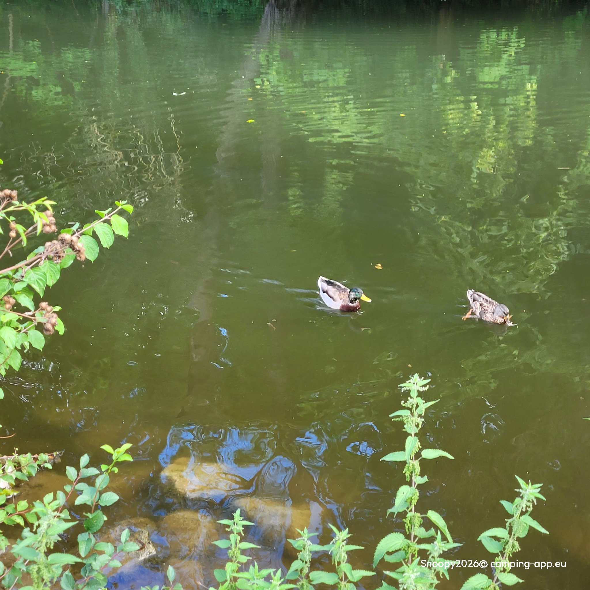 Campingplatz Pappenheim — Fotoğraf 3