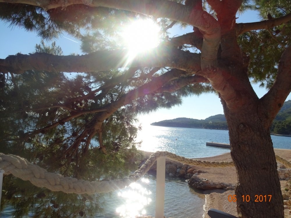 Kamp Male Čiste — Karavan Sitesi in Drvenik