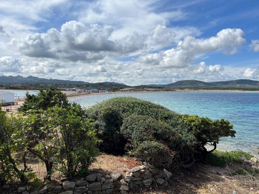 Isola dei Gabbiani Campsite — Kemp in Palau