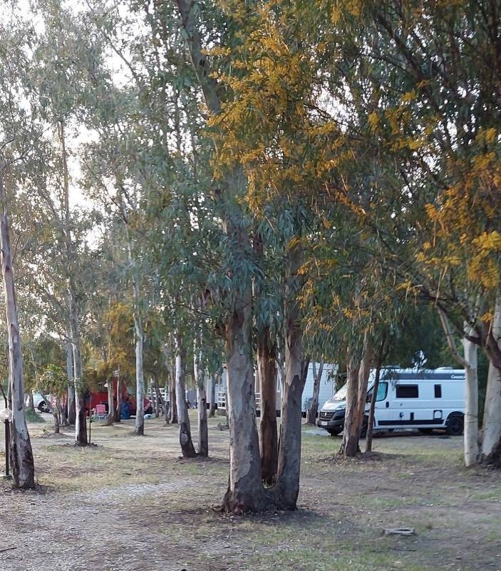 Camping Selema — Kemp in Santa Lucia
