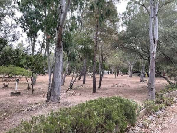 Camping Cugnana Portorotondo — Photo 5