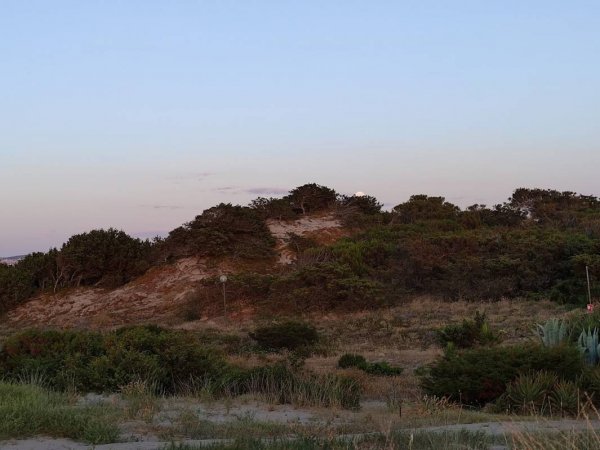 Camping Golfo dell'Asinara **** — Photo 2