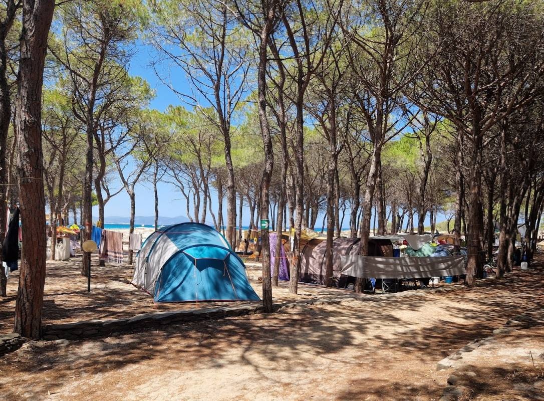 Camping La Mandragola — Sítio de acampamento in Santa Lucia