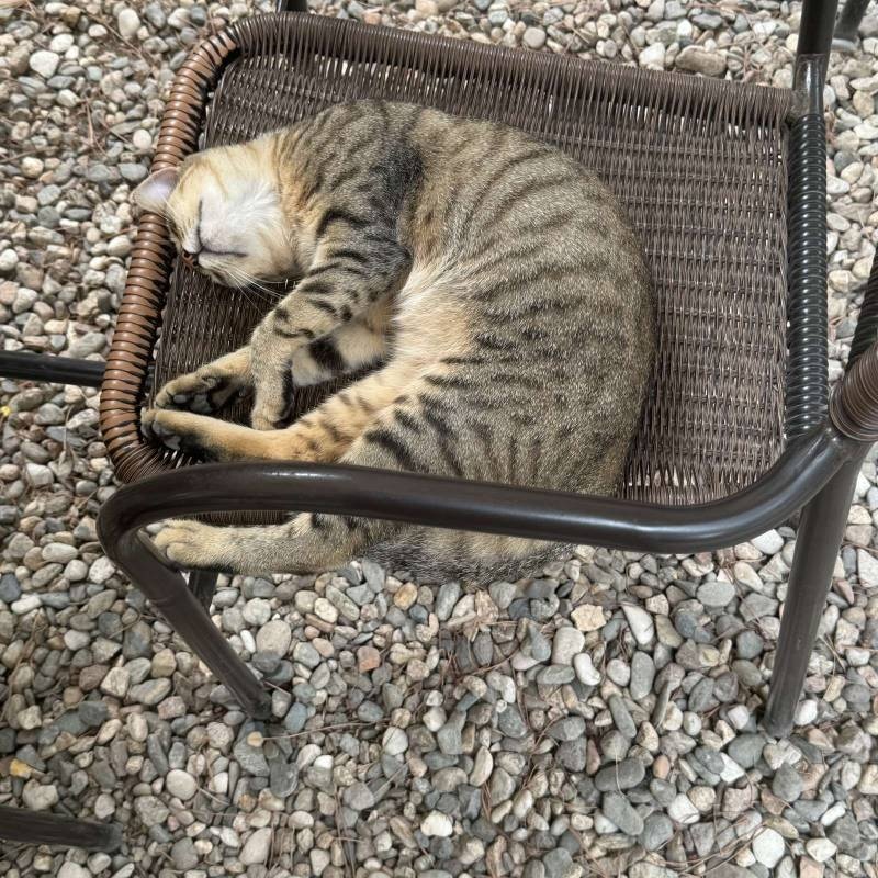 Camping Sa Prama — Kemp in Orosei