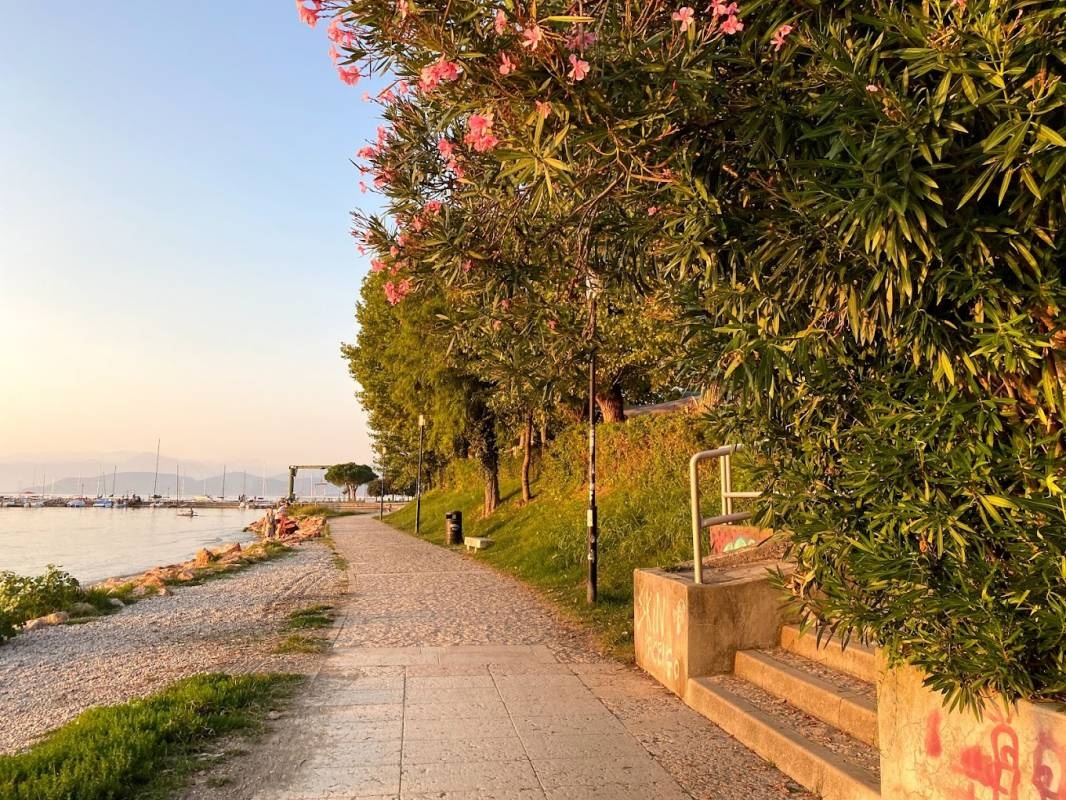 Camping Le Palme — Kemp in Arbus