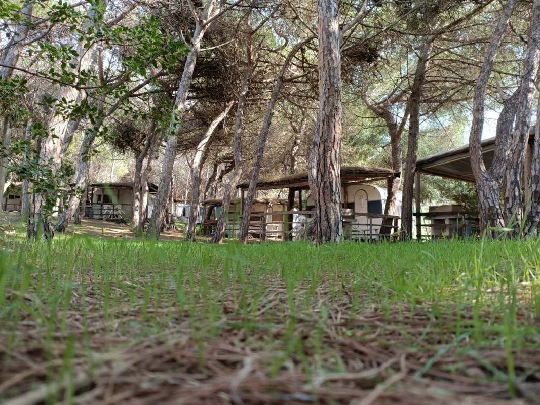 Camping Nurapolis — 露营地 in Narbolia