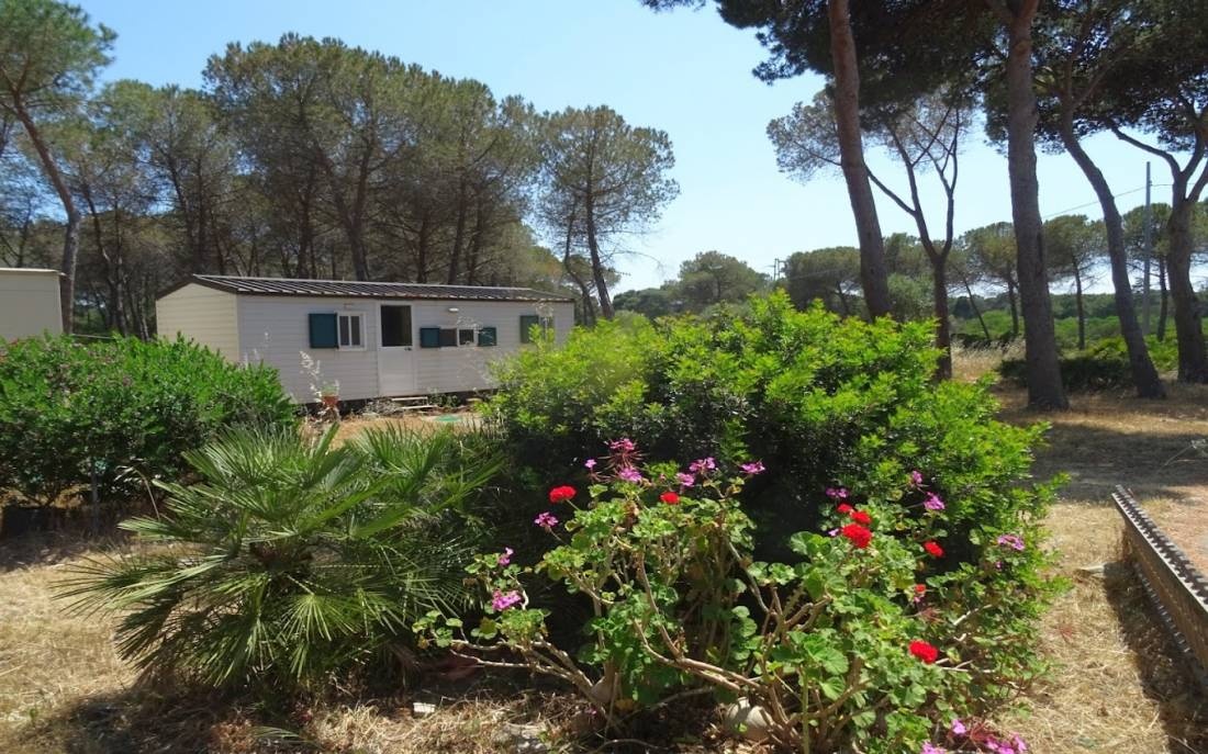 Villaggio Camping Nurral — Camping in Alghero