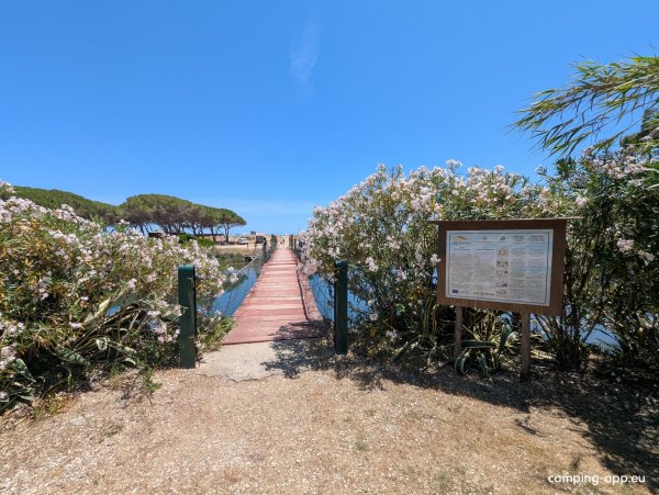 Area Osalla Beach Garden — Foto 4