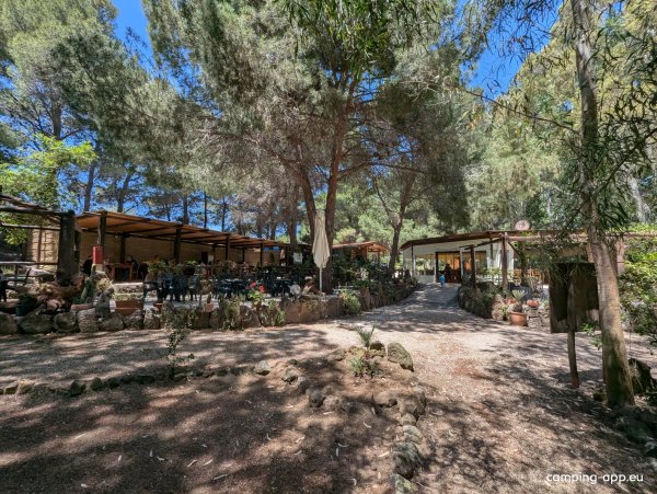 Area Osalla Beach Garden — Photo 6