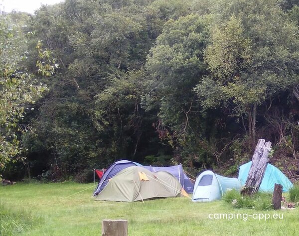Beara Camping — Foto 2
