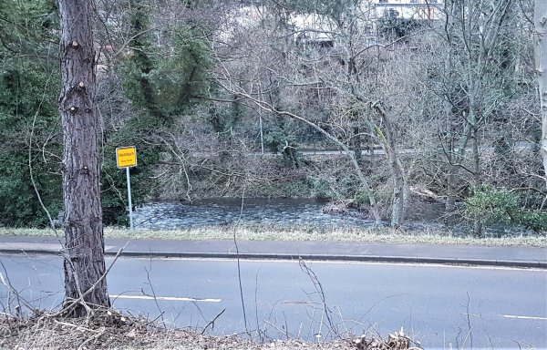 Wohnmobilhafen Heimbach — Foto 3