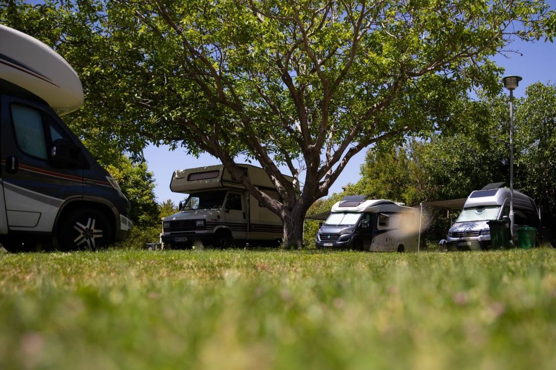 Auto Camp Kate — Kamp yeri in Mlini