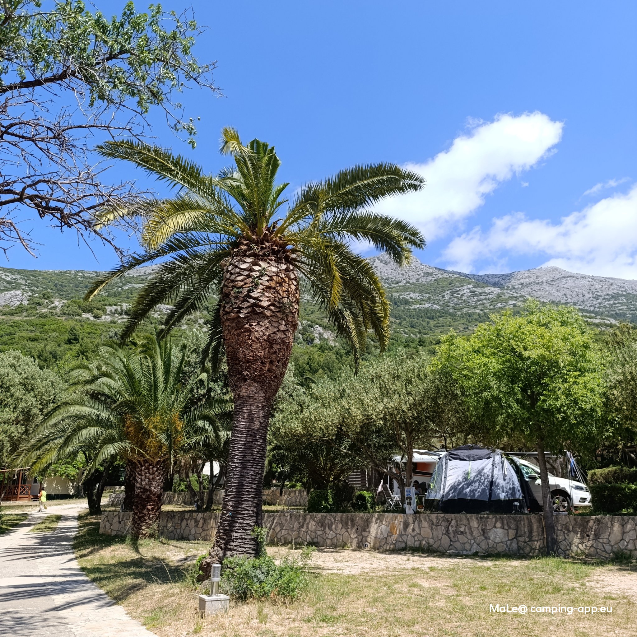 Mini Camping Palme — Photo 4