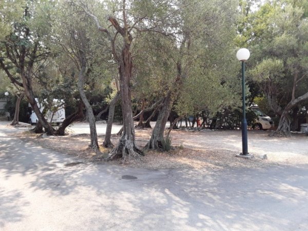 Camp Pod Maslinom — Photo 2