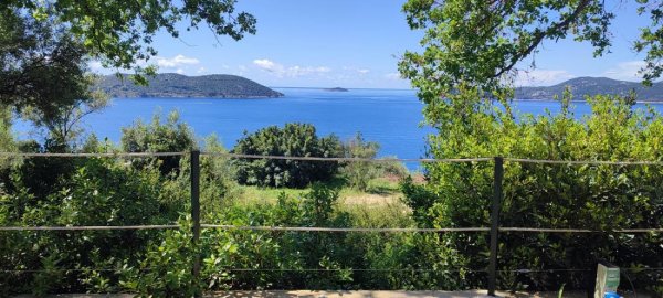 Camp Pod Maslinom — Photo 6