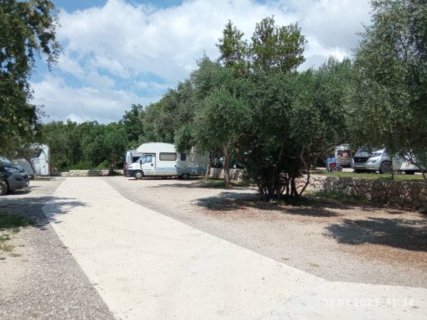 Camp Pod Maslinom — Photo 4