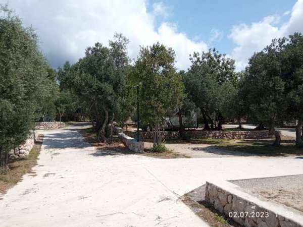 Camp Pod Maslinom — Photo 3