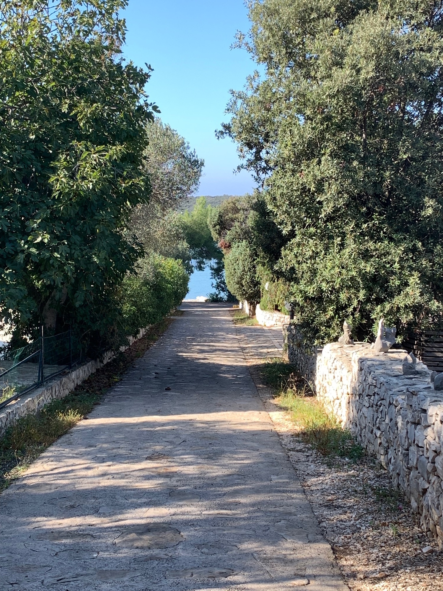 Mini Camping Lupis — Campingplass in Lovište