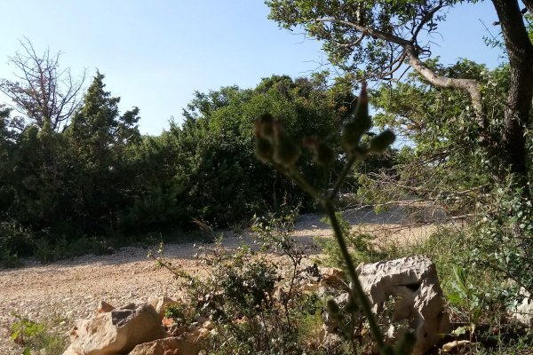 Mini Camp Marusina Olive Hills — Photo 2