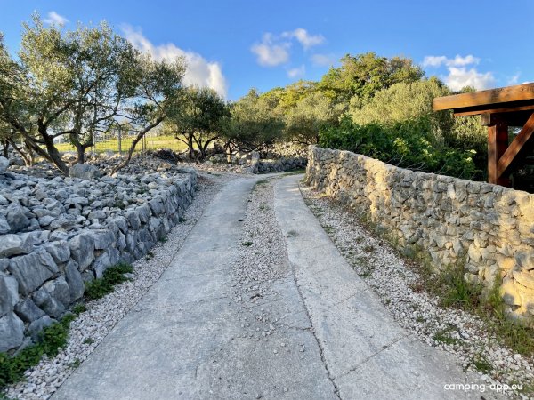 Mini Camp Marusina Olive Hills — Photo 5