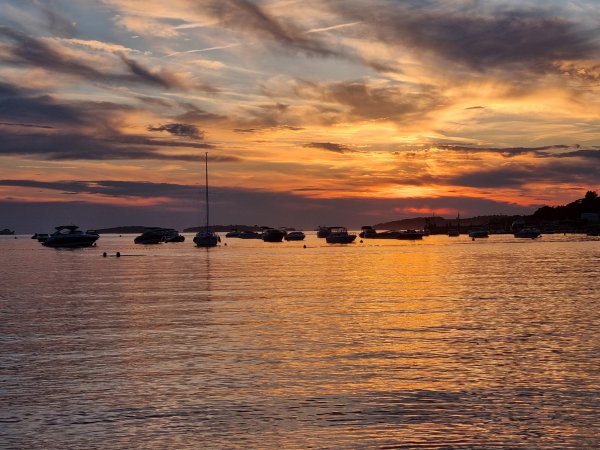 Mini Camping Mon Paradis — Photo 3