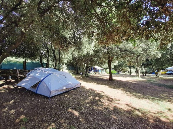 Camp Diana — Photo 2