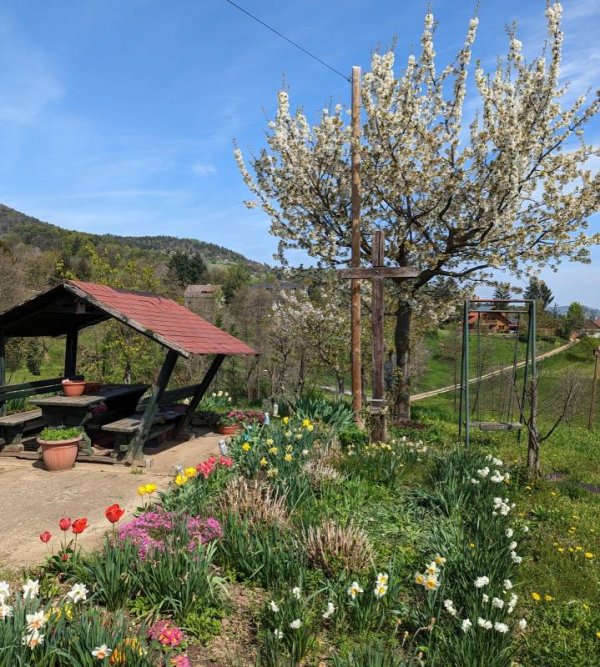 Autokamp Kekec — Photo 6