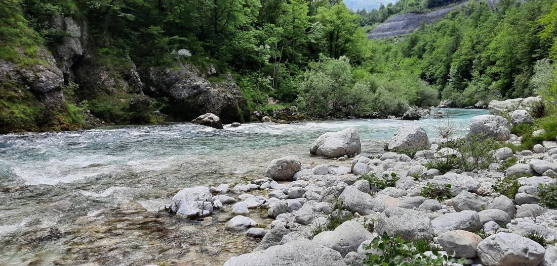 Kamp Lazar — Campingplass in 5222