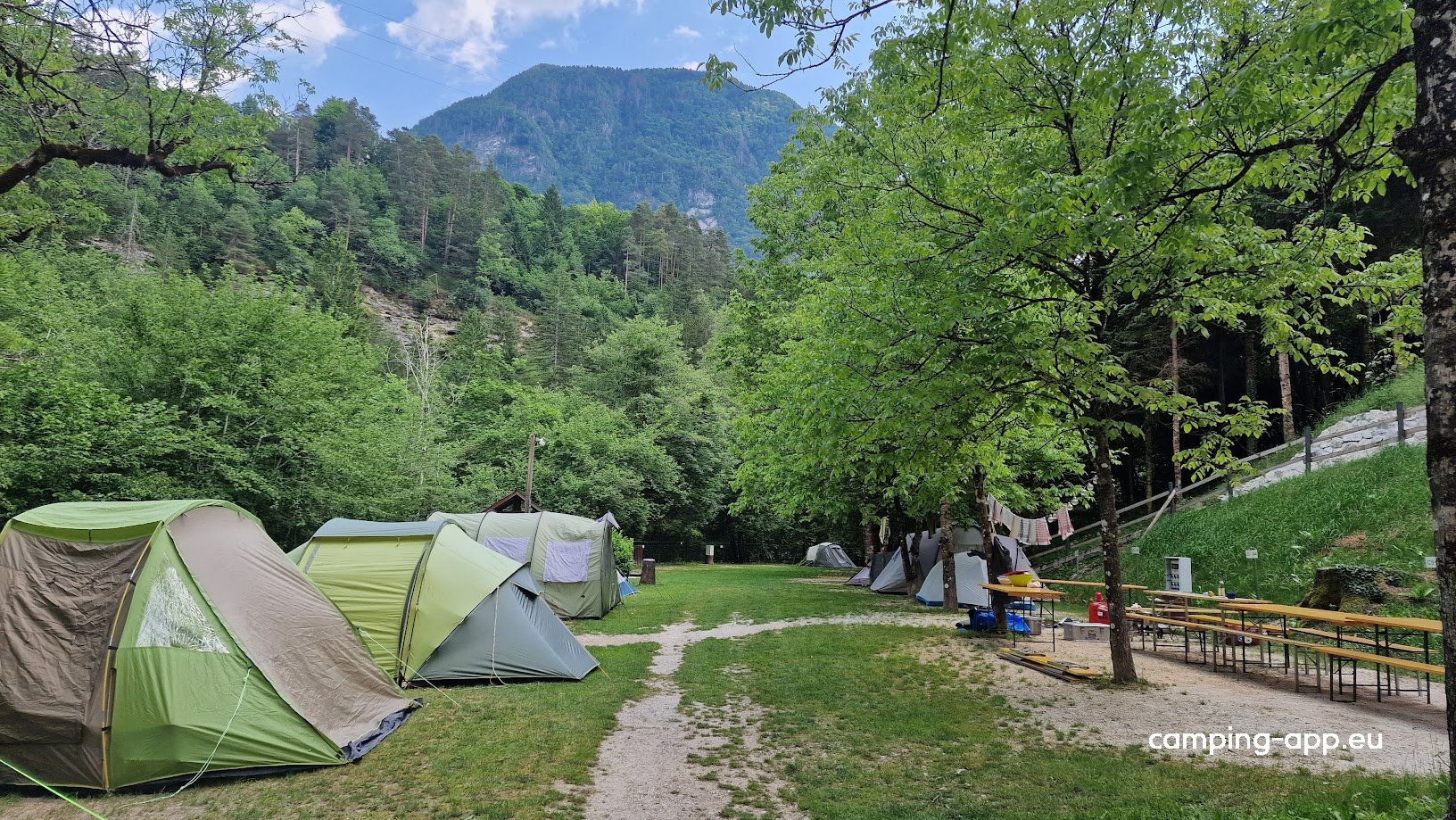 Kamp Liza — Photo 3